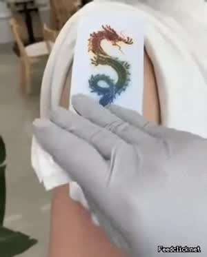 엄청난 용 문신.