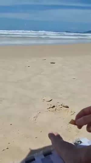 먹고 살라꼬....