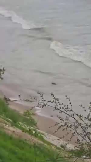 큰건 놓치고 작은거라도...