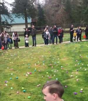 부활절 계란을 빠르게 쓸어담는 아이