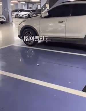 뉘집 아들인지 주차 잘 해놨네.