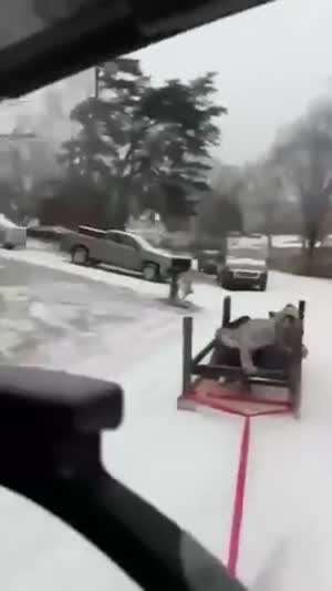 이런 짓하다가 디지기도 합니다