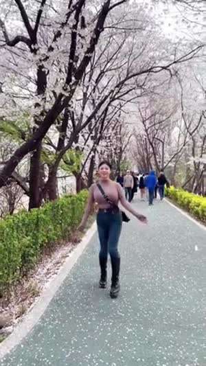 벚꽃을 보라고 딴거 보지 말고