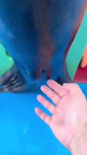 뭘 잡아 당긴거지요?