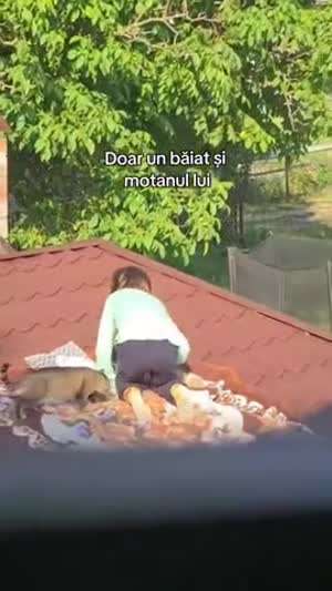 날씨 따뜻한 날.. 지붕위 낭만 오져따