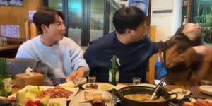 여bj 머리채 잡는 남bj