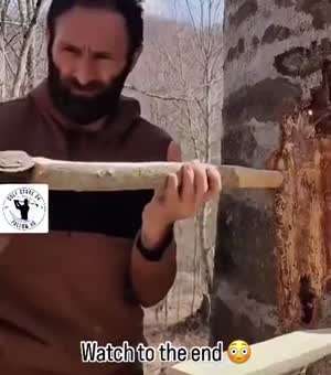 나무 위 집짓기...