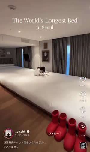 주작인줄 알았던 호텔 사진