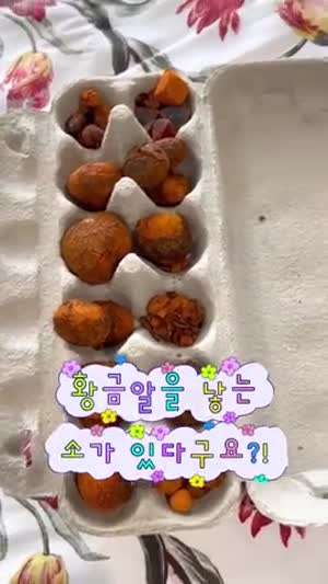 우황청심환의 유래 아셨나요? ㅎㄷㄷ