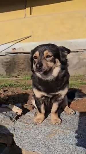 오늘이? ... 화요일이네 ! 잘 보내자구 아이고 이뻐 우리 깜순이