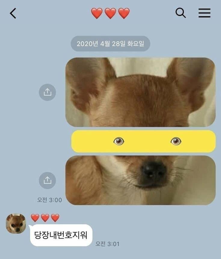 헤어진 여자친구에게 보낸 마지막 카톡