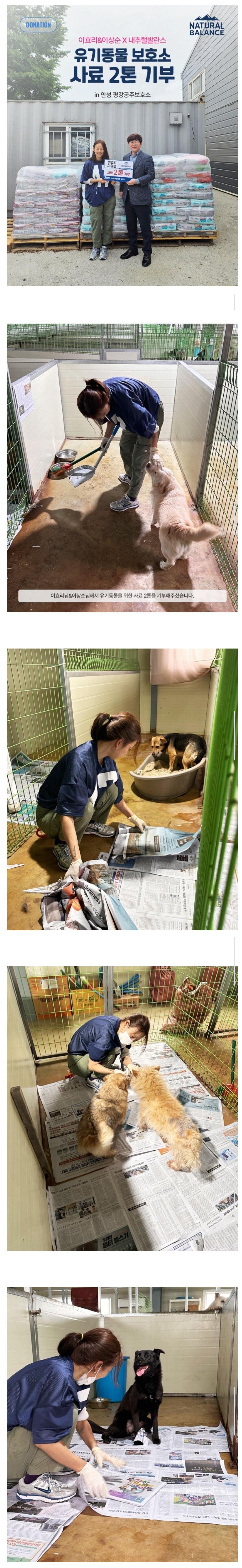 이효리 근황