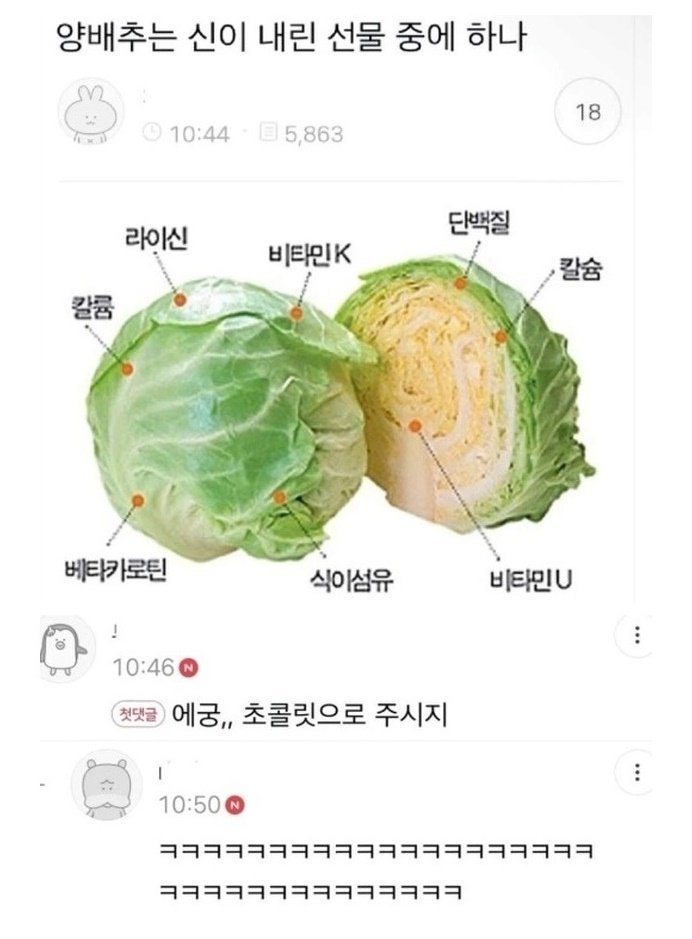 양배추는 신이 내린 선물 중에 하나...
