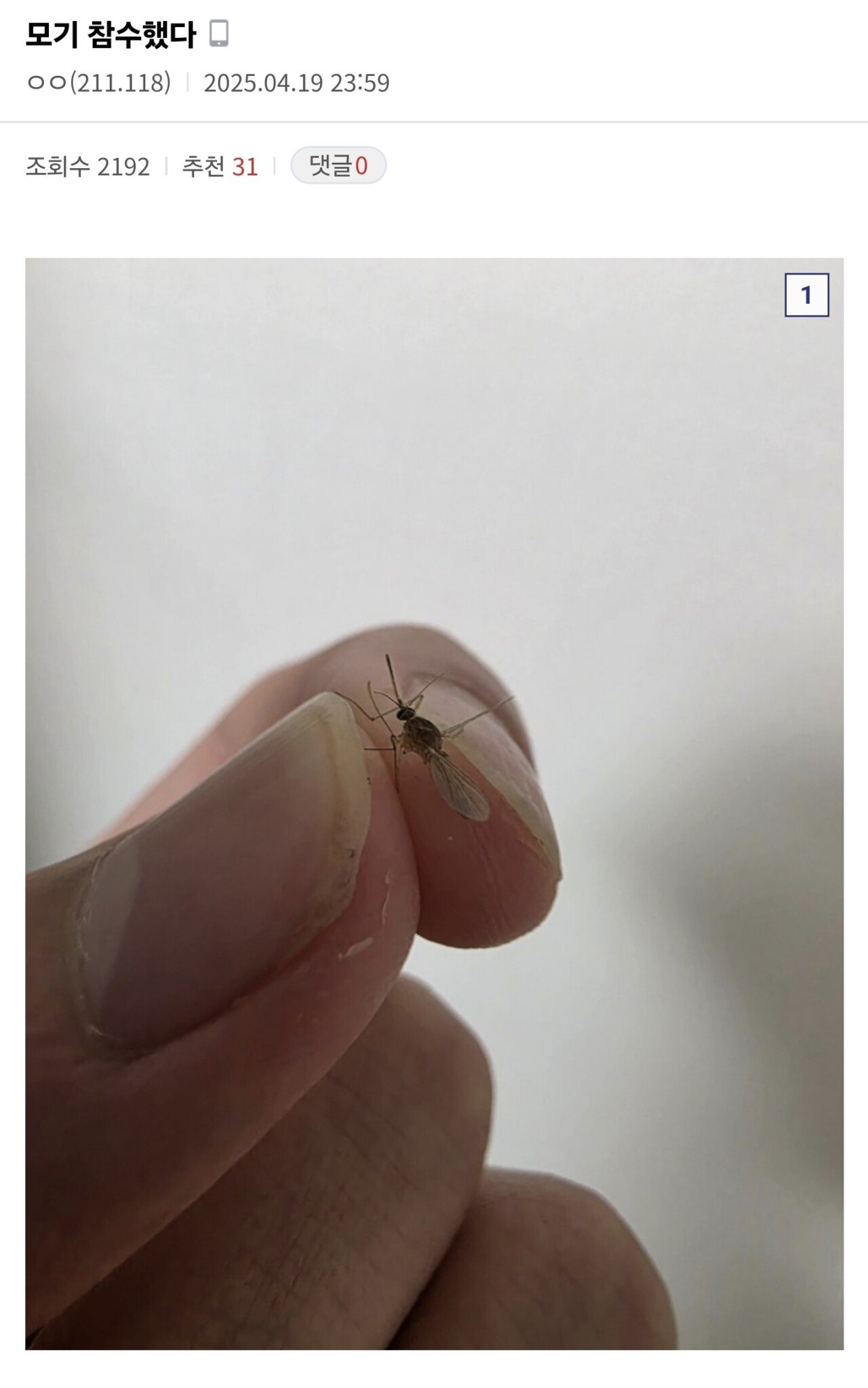 (혐??) 디씨 모기갤러리 근황