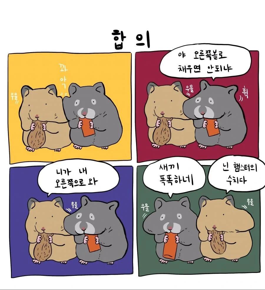 합의와 양보의 차이