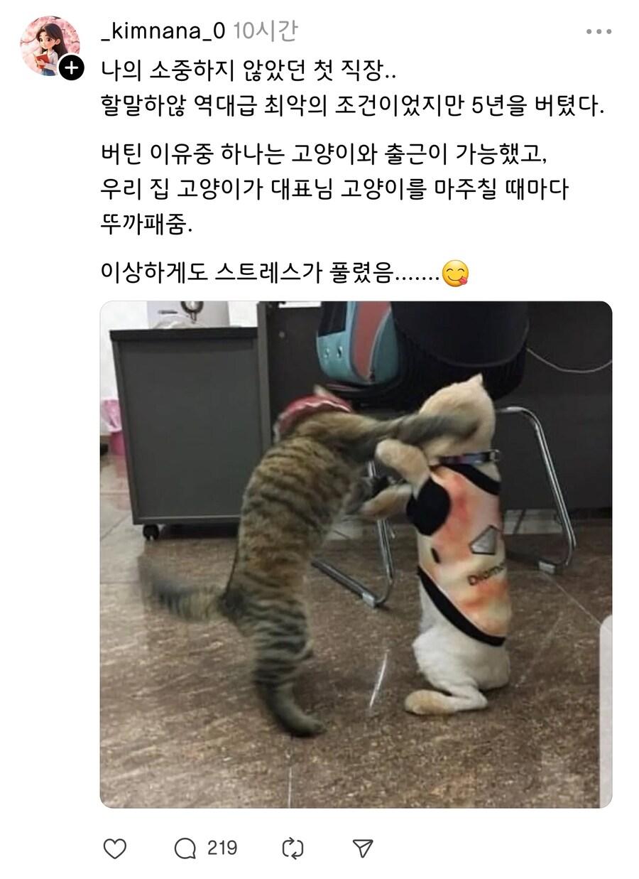ㅈ같은 직장에서 5년을 버틸수 있었던 이유