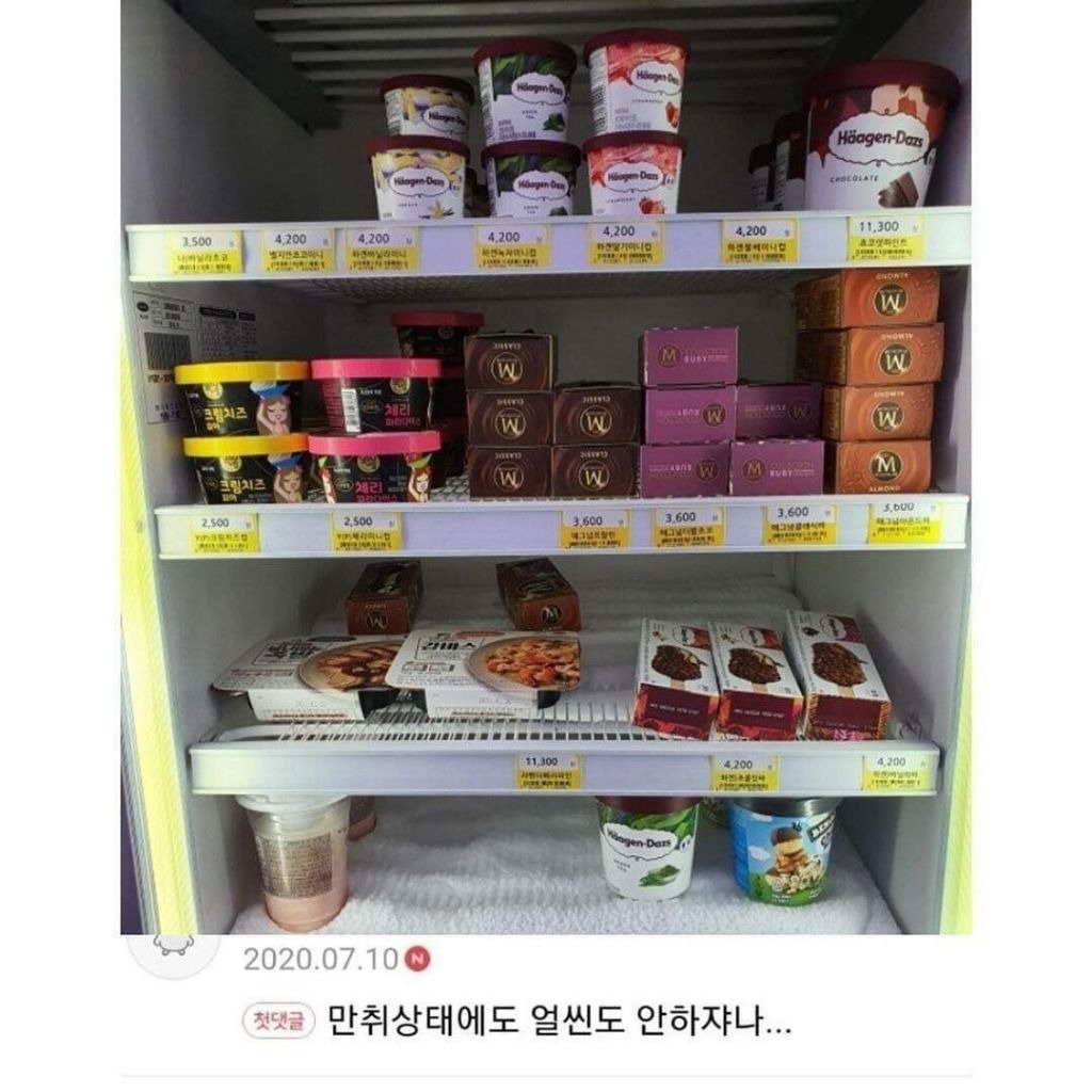 몸이 기억하는 가난