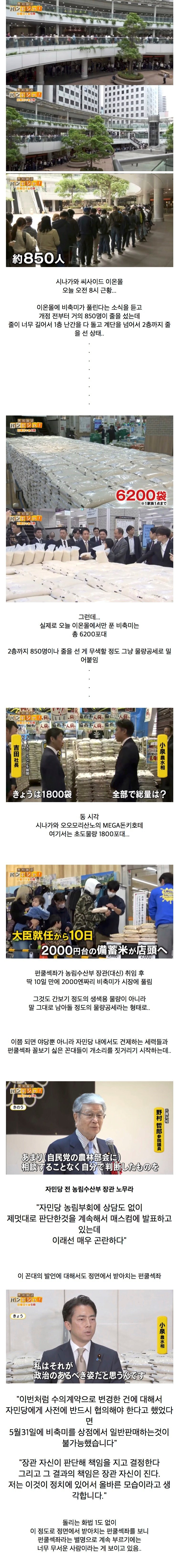 쌀 사려고 오픈런하는 일본인들