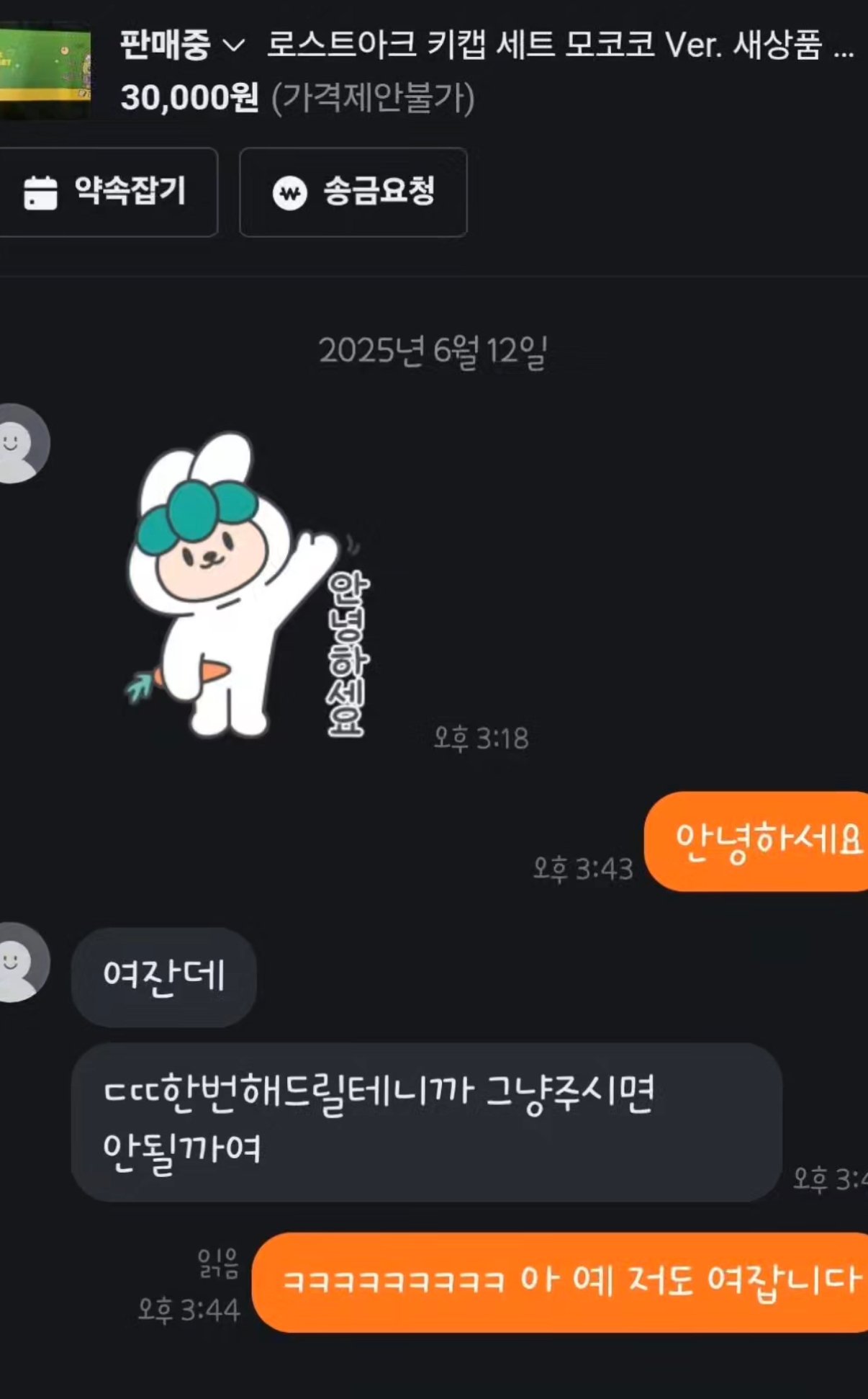 당근마켓 ㄷㄸ 네고하려는 여자