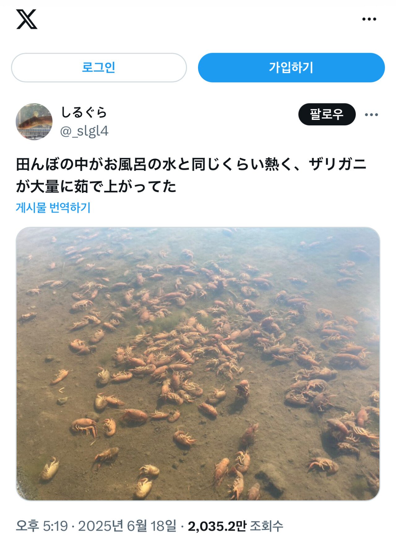 일본 날씨 근황 ㄷㄷㄷ