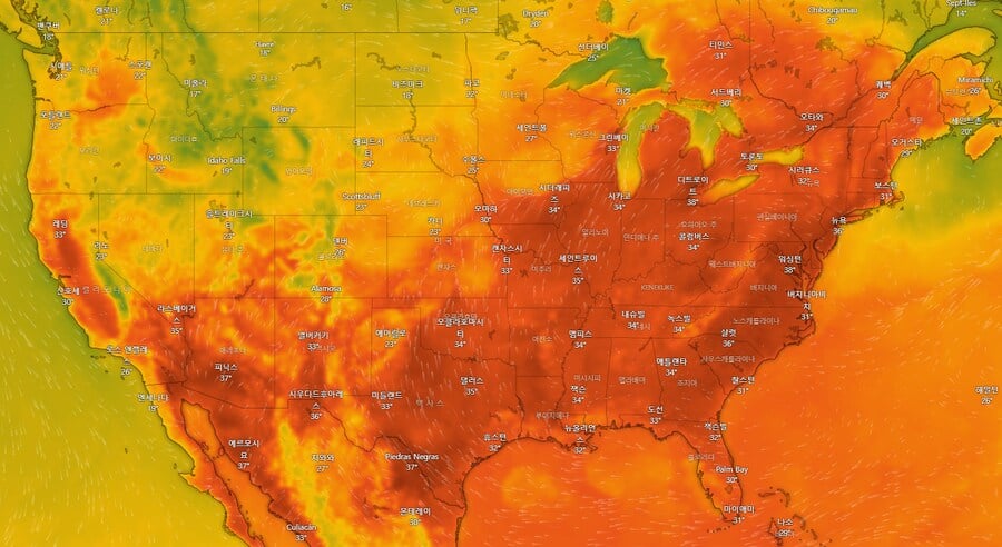 현재 미국 상황