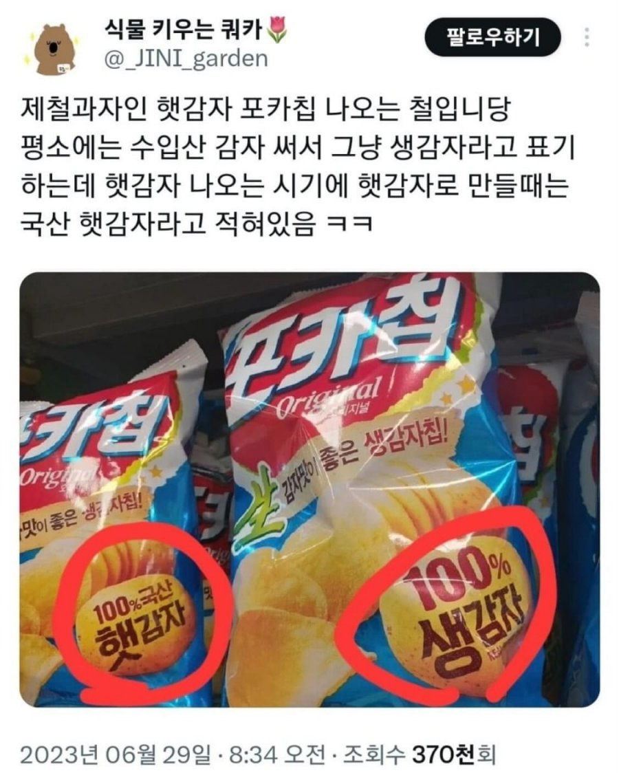 지금 부터 맛볼수 있는 한국 감자로 만든 감자칩