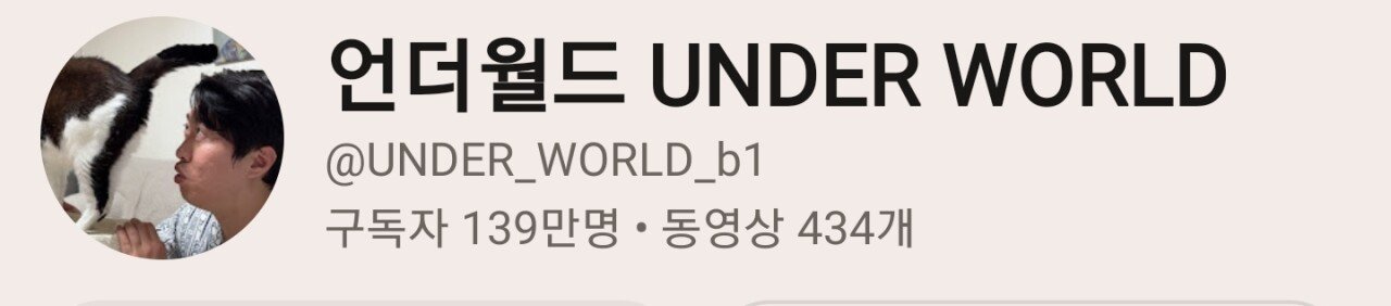 고양이 때문에 결혼했다는 개그맨 송하빈