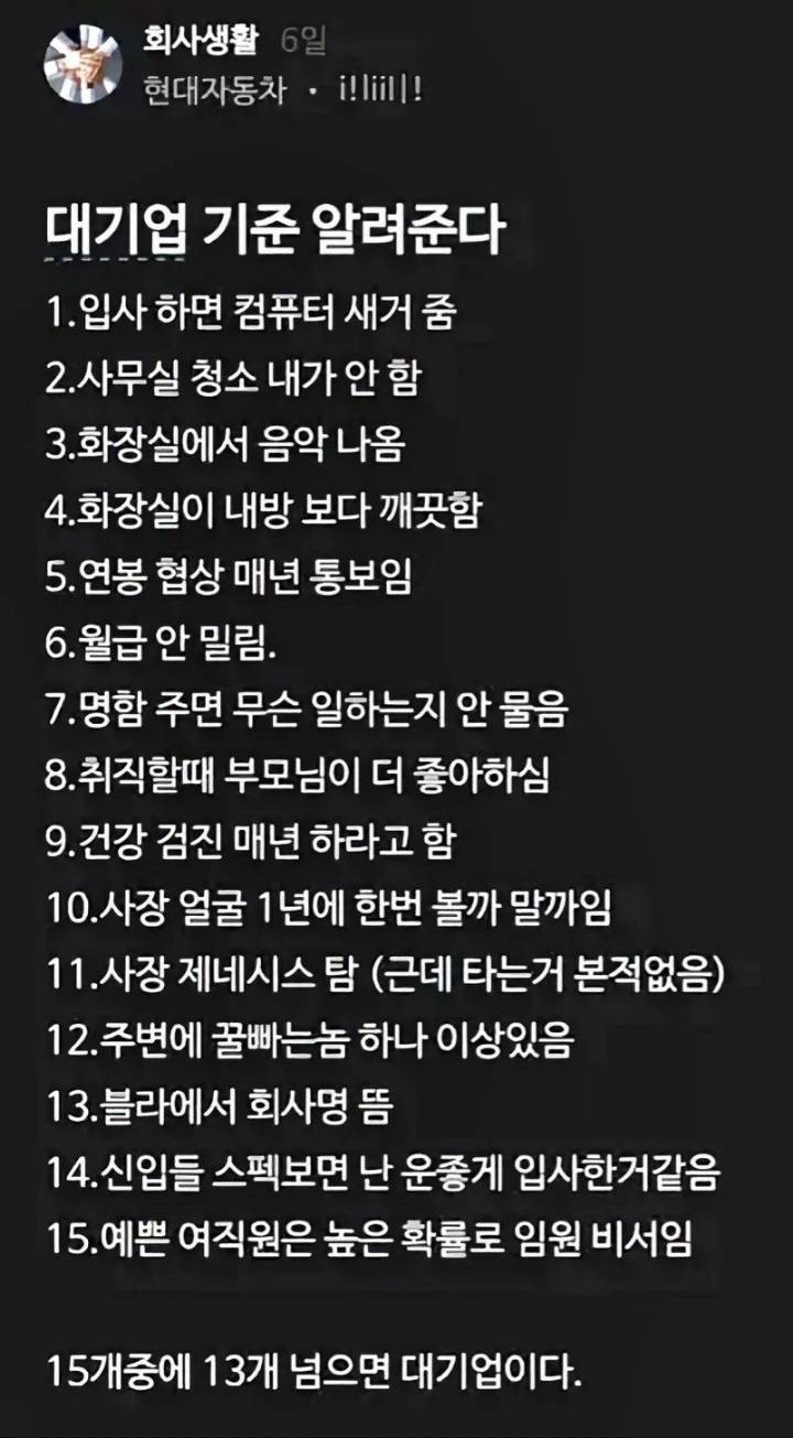 대기업 기준 알려주는 현대차 블라남