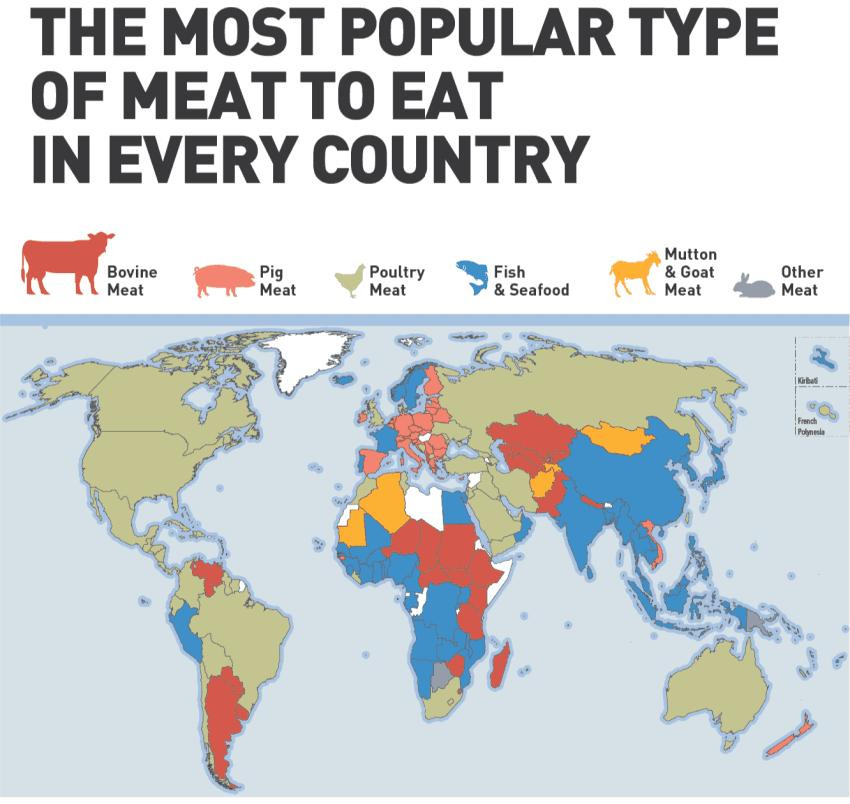 국가별 주력 단백질 공급원 통계