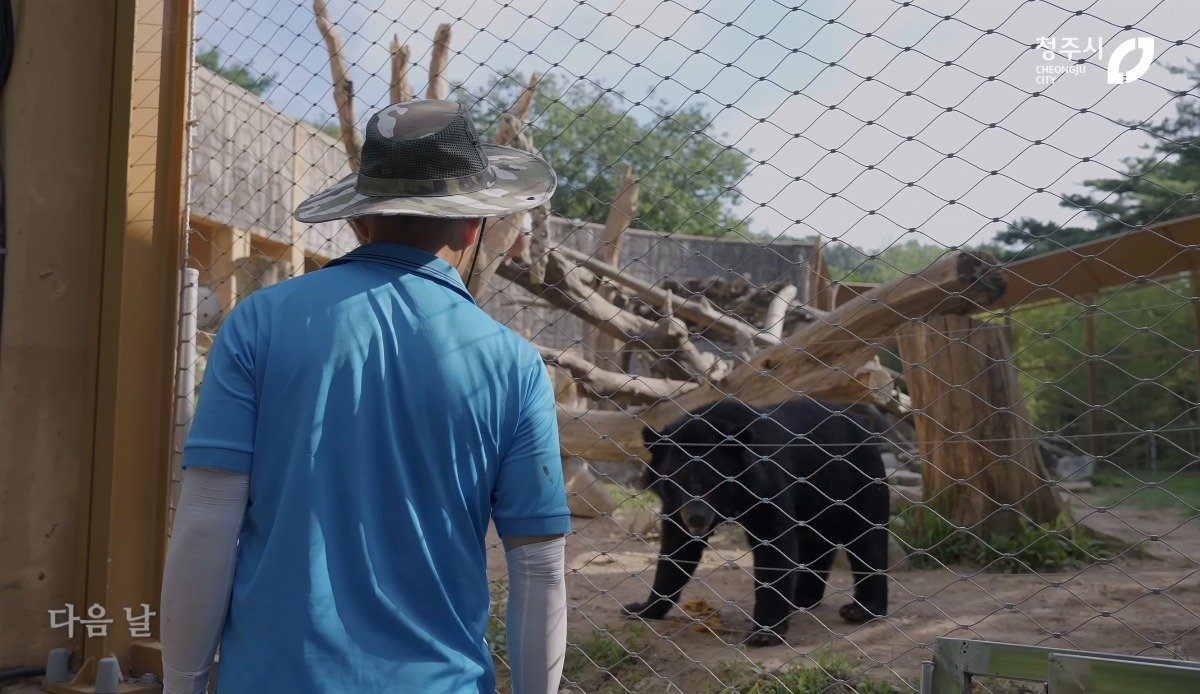 ㅅㅂ 청주동물원 유튜브보는데 뭔 시트콤인줄