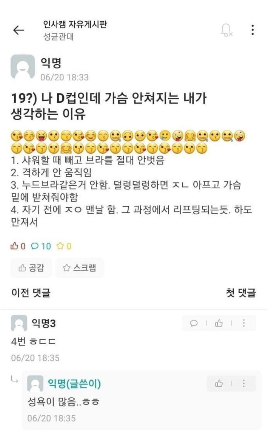 성균관대 D컵녀가 생각하는 가슴이 안쳐지는 이유