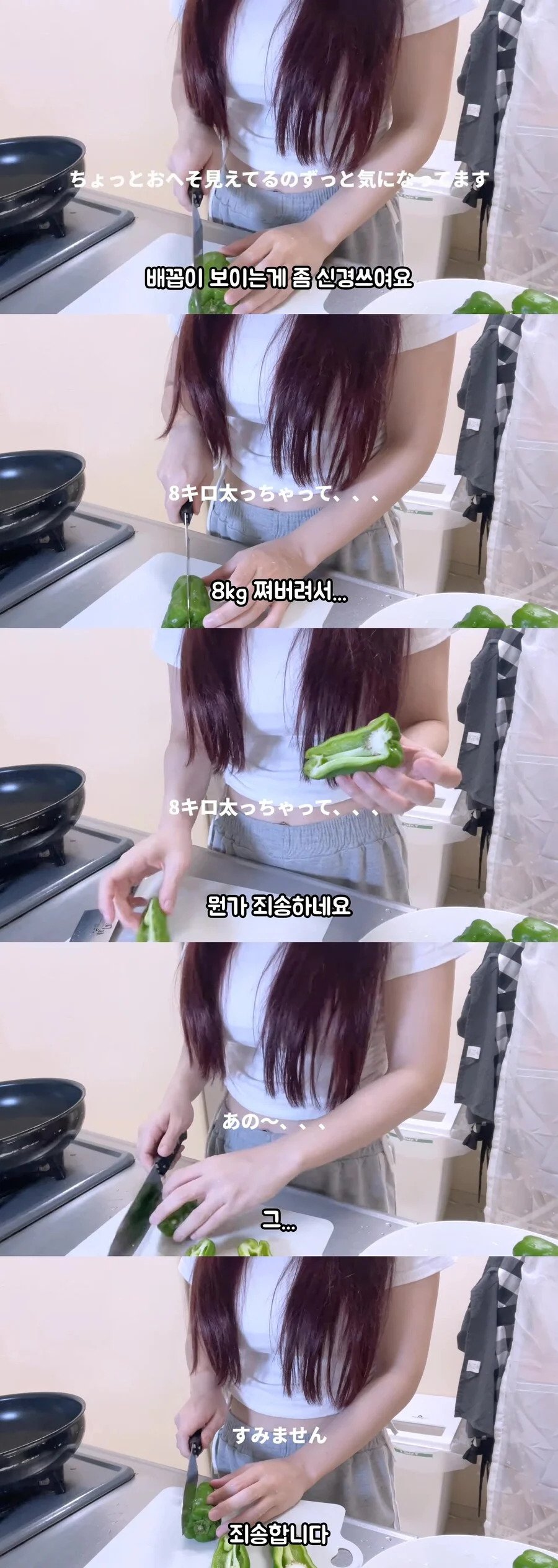 ㅇㅎ) 살쪄서 미안하다는 일본여자