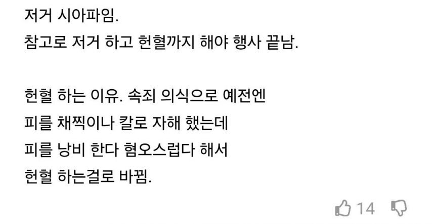 국내 무슬림 근황