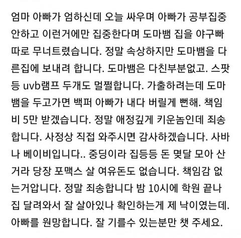 책임비 5만원 받고 동물나눔 하려는 중학생