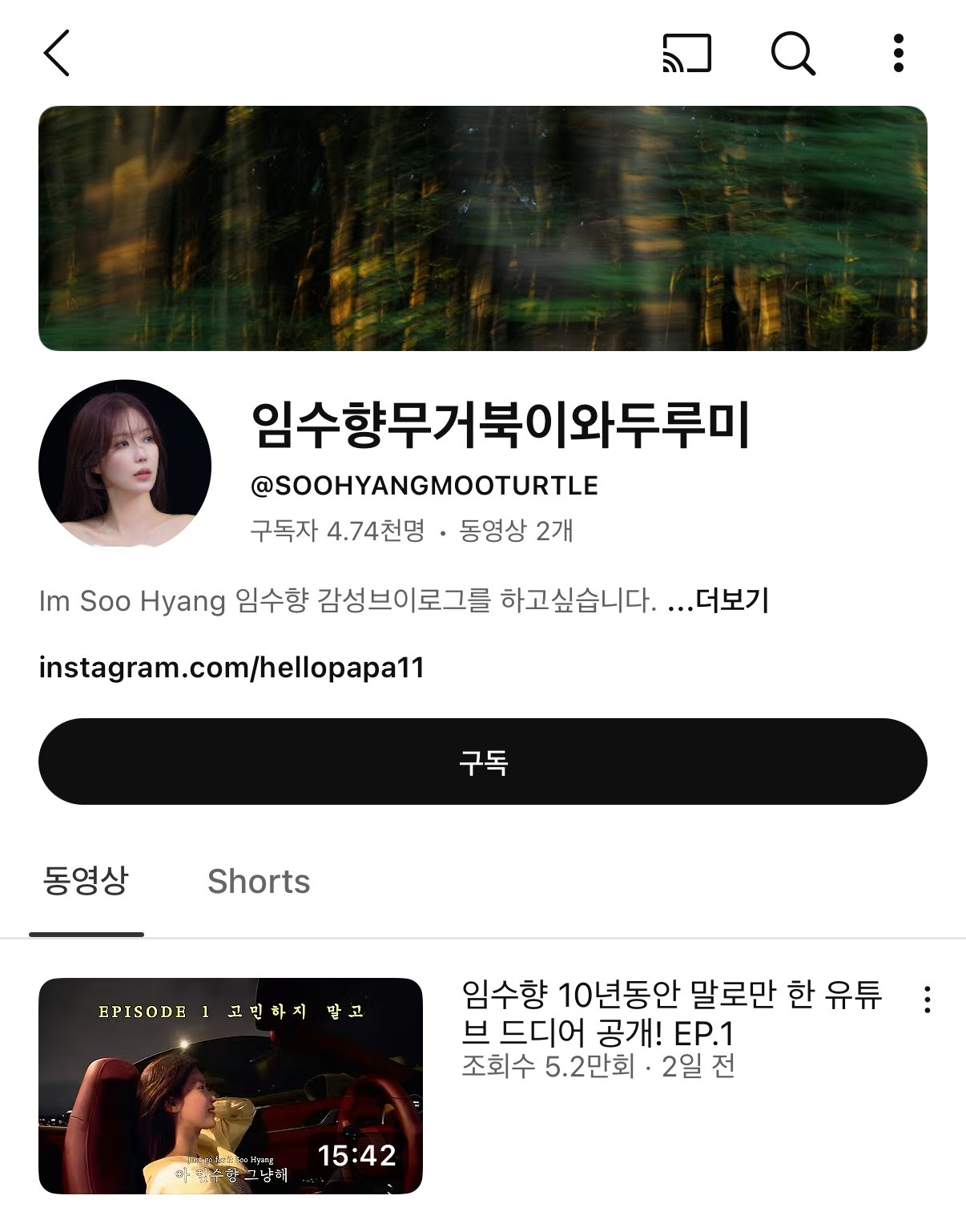 임수향 유튜브 찐채널명