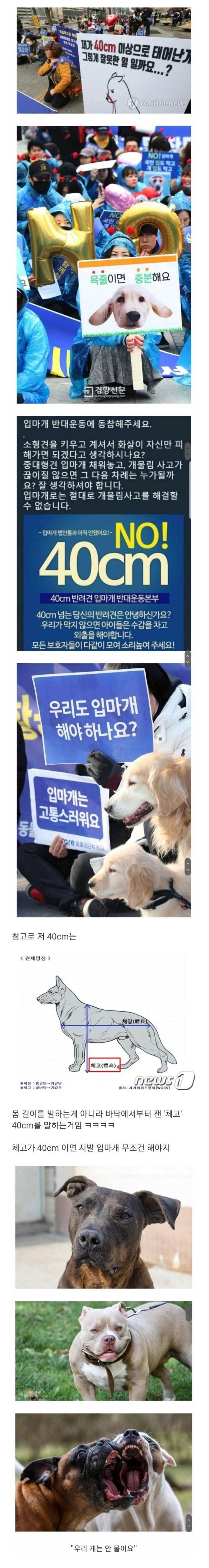 제가 40cm 이상으로 태어난게 잘못인가요?