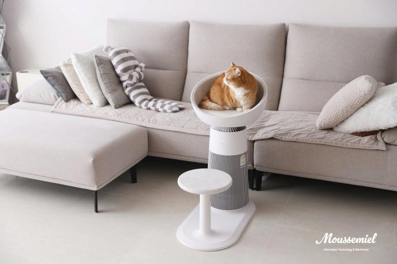 고양이 집사 타겟으로 만든 LG 공기청정기 + 켓돔