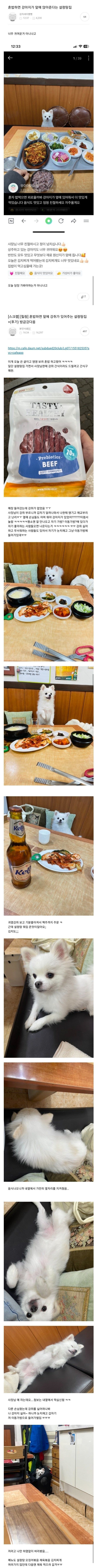 혼밥하면 강아지가 앉아주는 설렁탕집