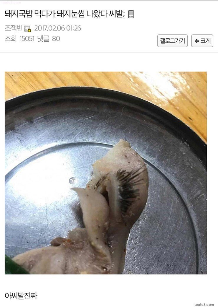 혐) 돼지국밥 먹다 눈꺼풀 나온 디시인...