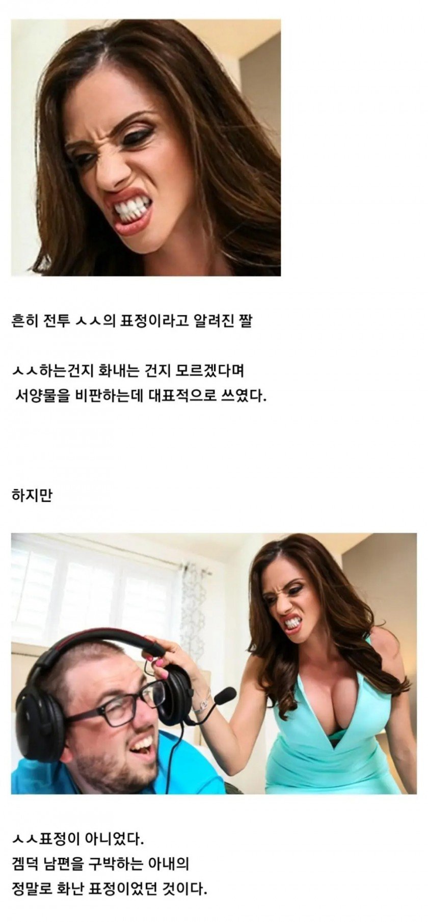 서양 전투 ㅅㅅ 짤의 진실