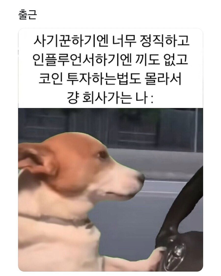 대부분 직장인 특징