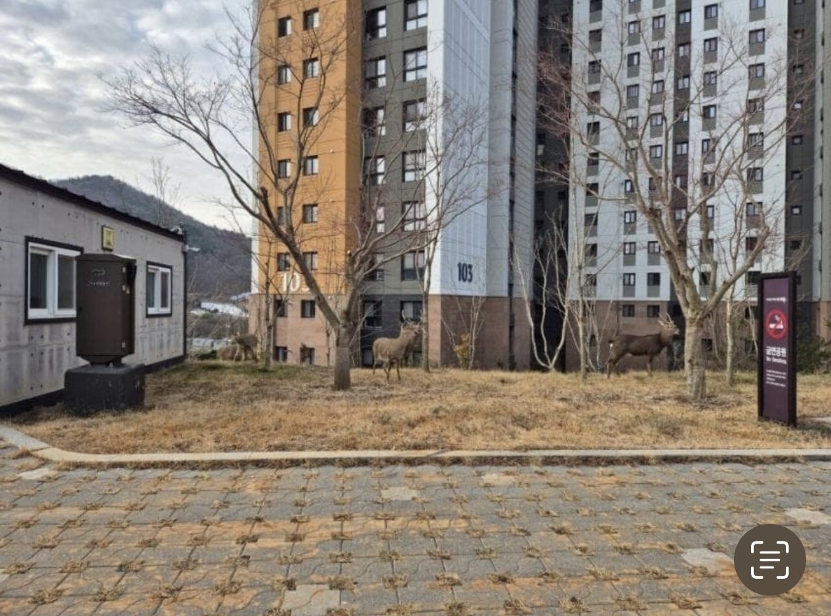 전라남도 순천 한 아파트단지 근황