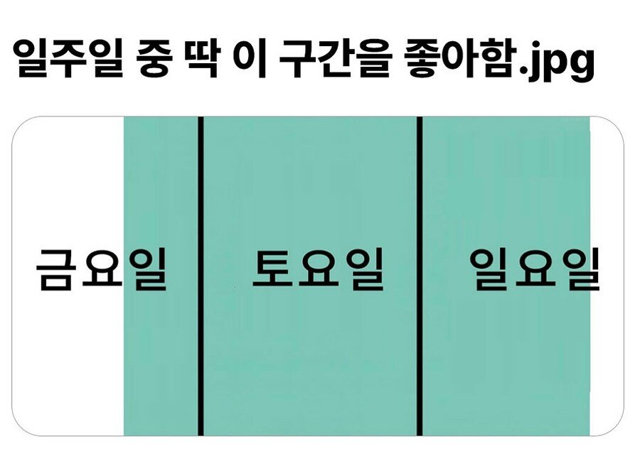 일주일 중 딱 이 구간을 좋아함