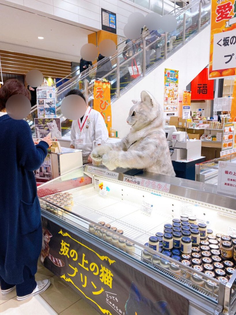 요즘 일본 취업 상황 근황 ㄷㄷㄷㄷ