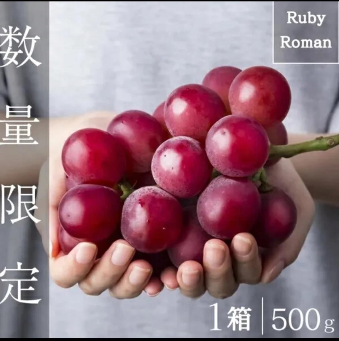 샤인머스캣에 이은 제2의 포도사태(일본은 일본하고 중국은 중국하고 한국은 한국하는중)