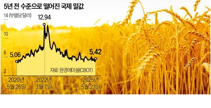 밀가루 5년 내 최저가 회복