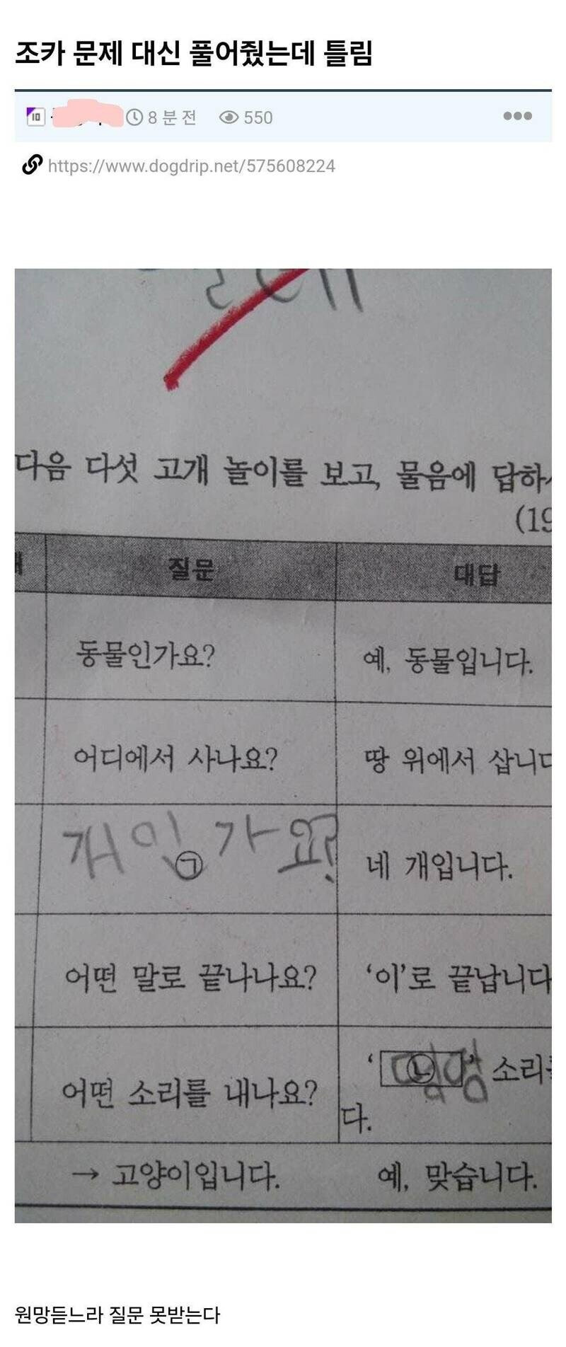 조카 문제 대신 풀어줬는데 틀렸어