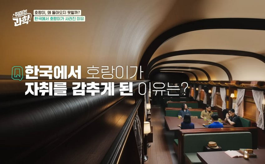 한반도에 호랑이들이 멸종한 이유