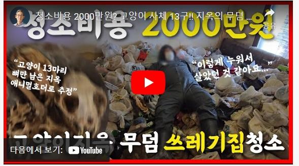 혐)) 청소비 2000만원 나온 역대급 집 ㄷㄷㄷ