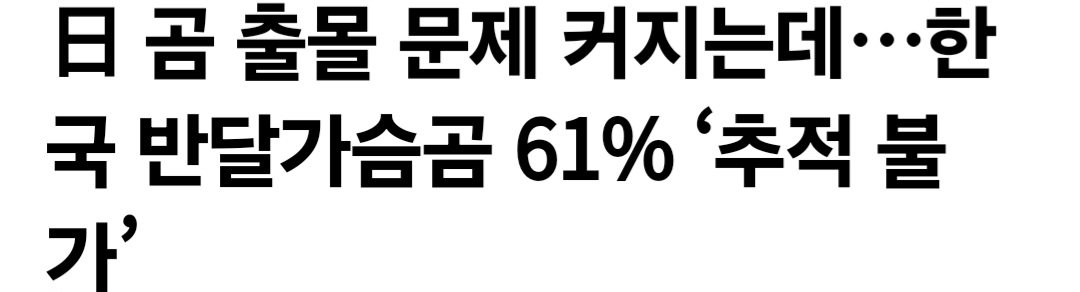 좆됐다는 지리산 반달가슴곰 상황 ㄷㄷ